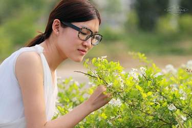 郑怡云母上攻略更新日志展示